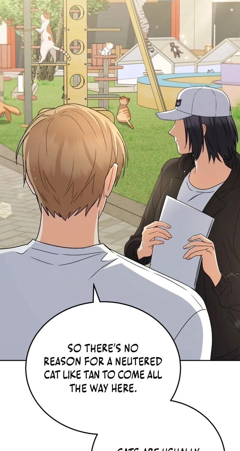 Veterinarian! Hello? Chapter 75 page 37 - 