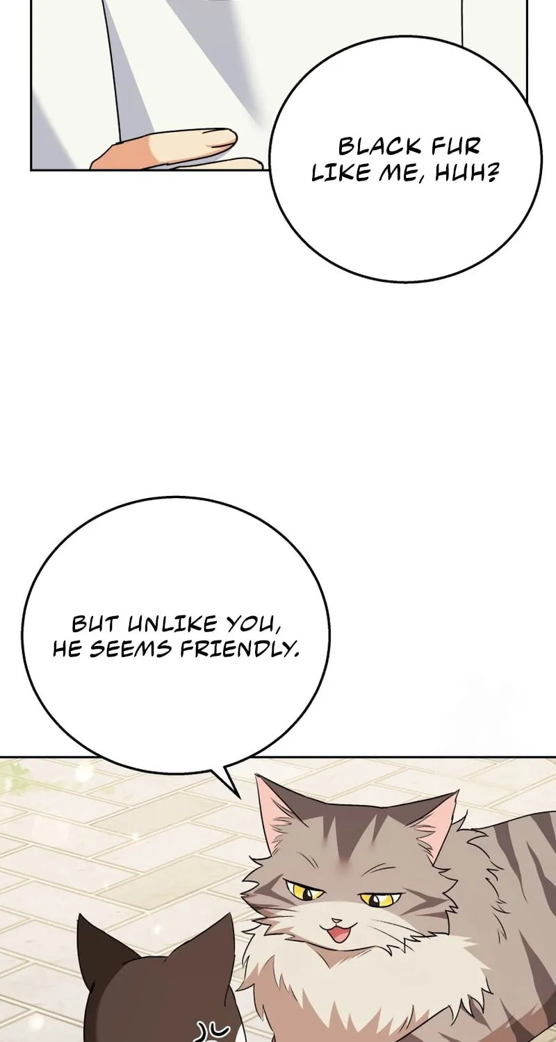 Veterinarian! Hello? Chapter 75 page 46 - 