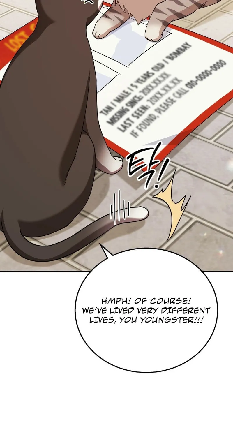 Veterinarian! Hello? Chapter 75 page 47 - 