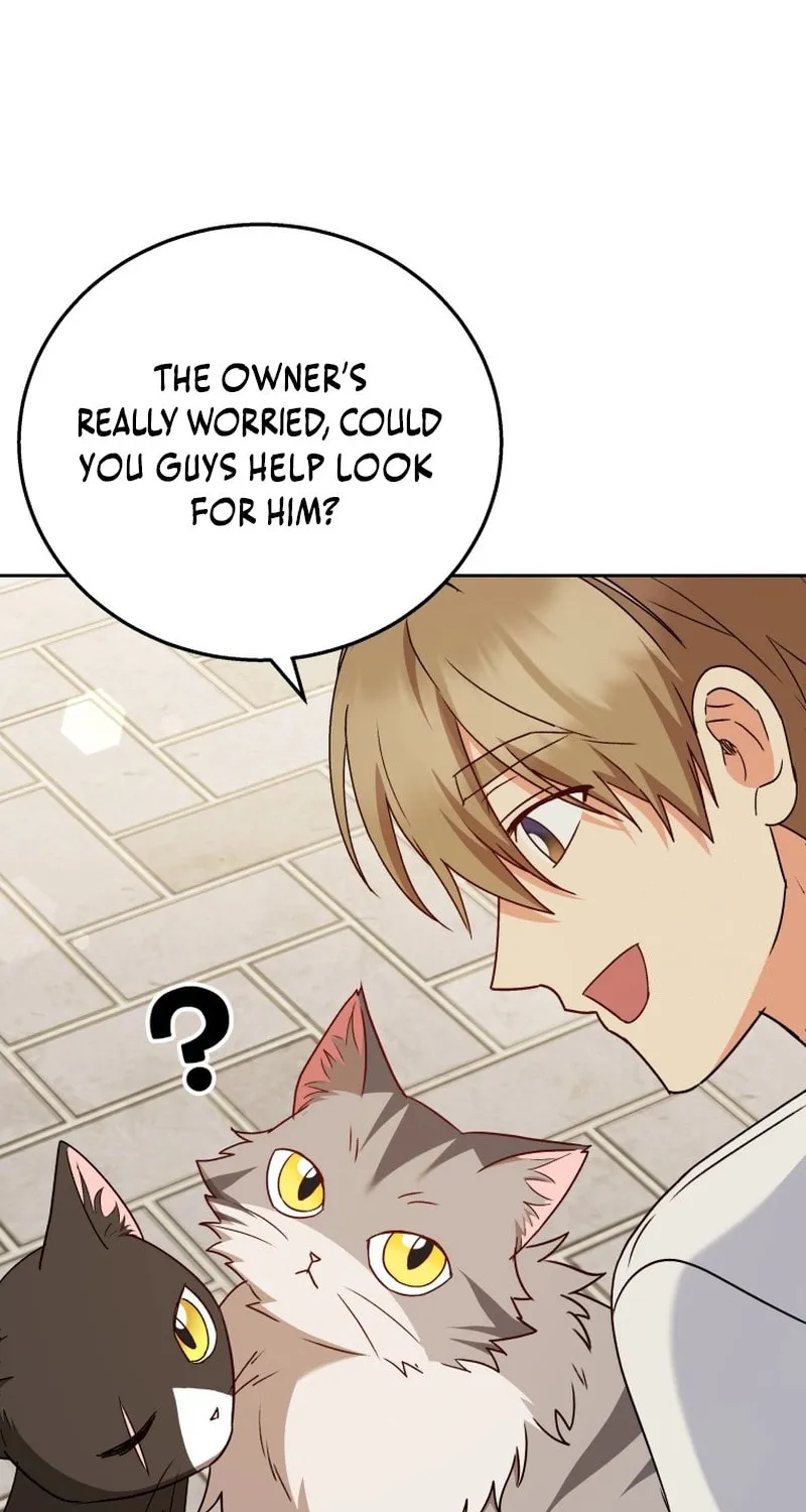 Veterinarian! Hello? Chapter 75 page 54 - 