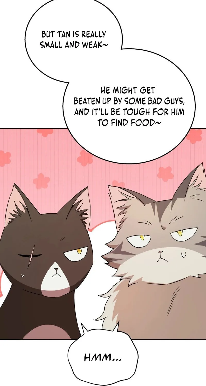 Veterinarian! Hello? Chapter 75 page 61 - 