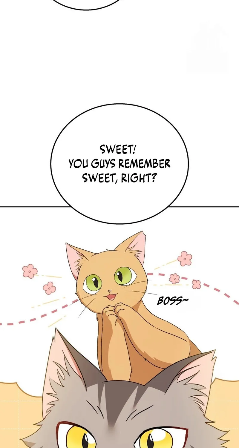 Veterinarian! Hello? Chapter 75 page 63 - 
