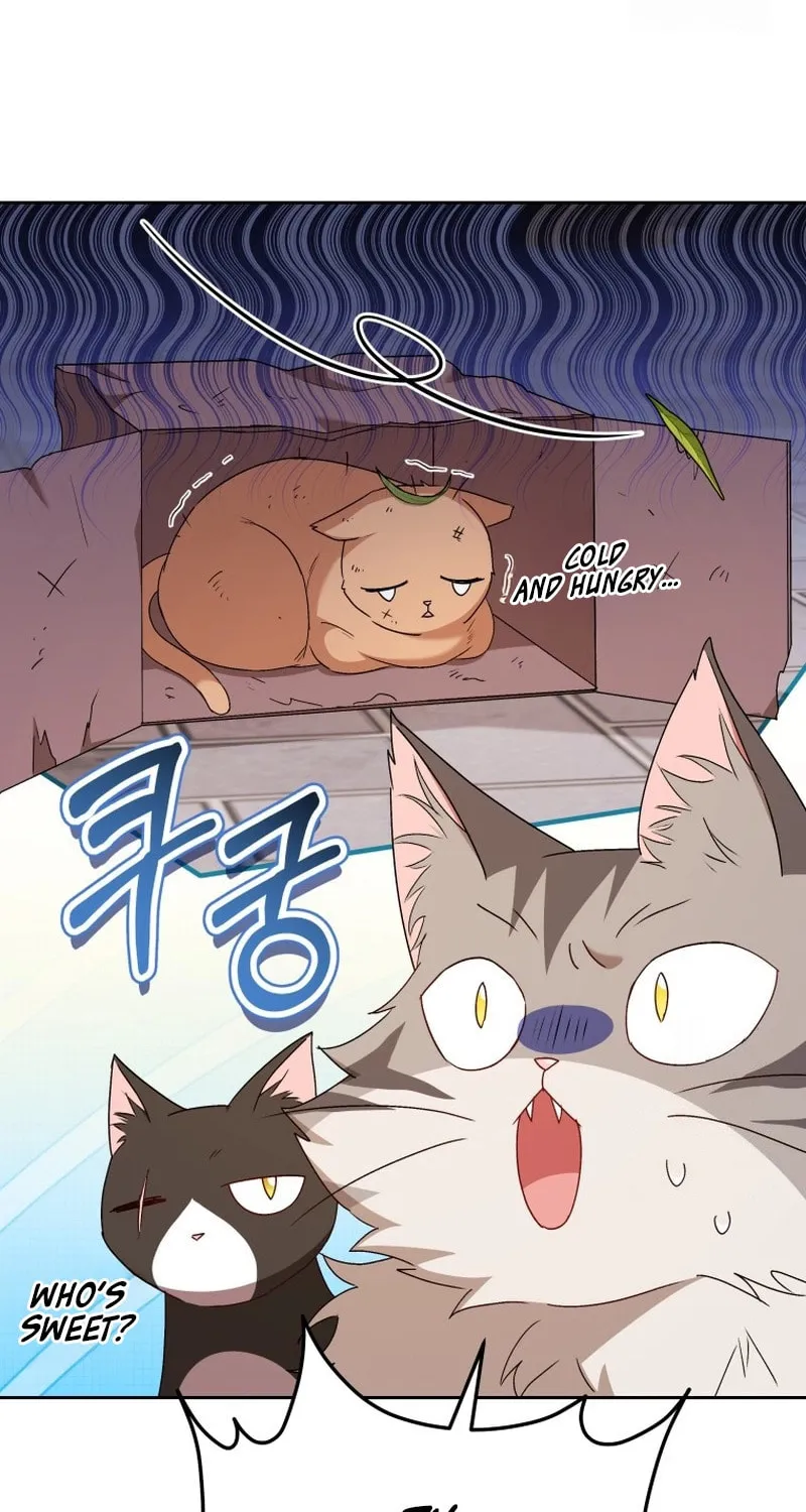 Veterinarian! Hello? Chapter 75 page 67 - 