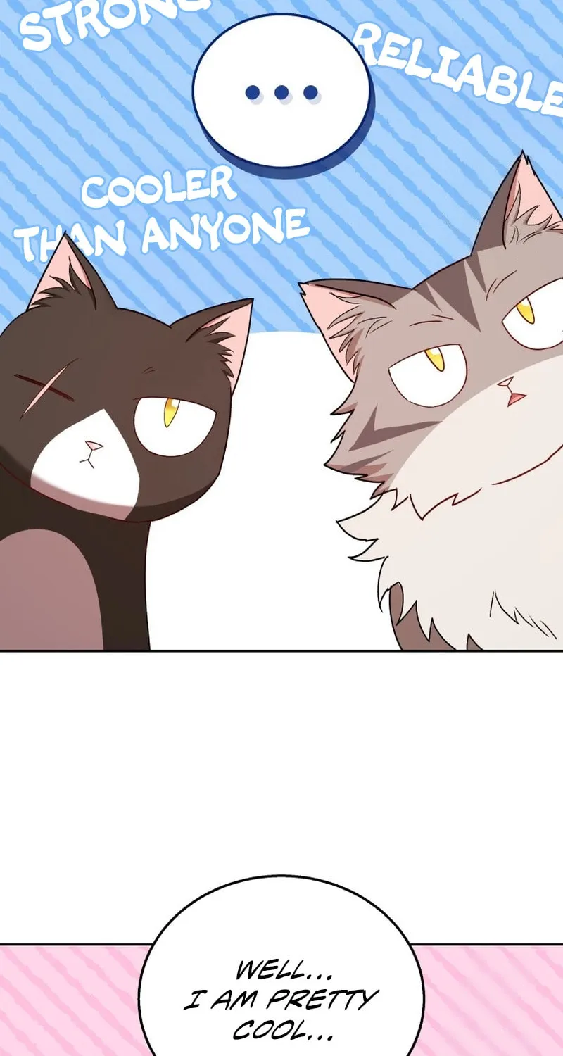 Veterinarian! Hello? Chapter 75 page 72 - 
