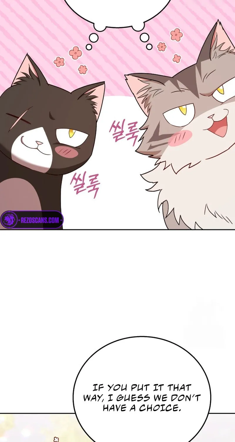 Veterinarian! Hello? Chapter 75 page 73 - 