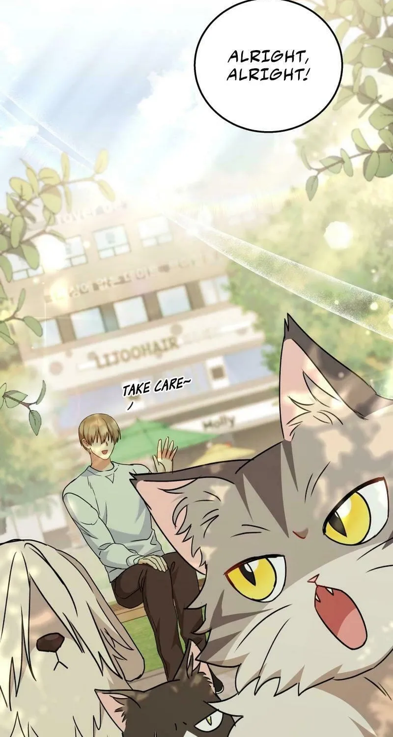 Veterinarian! Hello? Chapter 76 page 32 - 