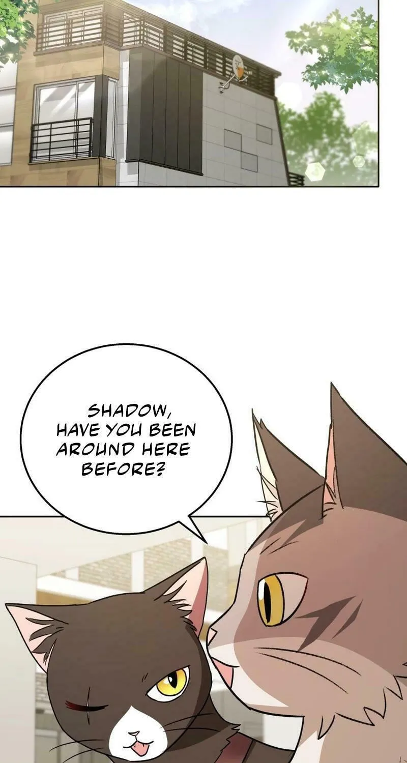 Veterinarian! Hello? Chapter 76 page 34 - 