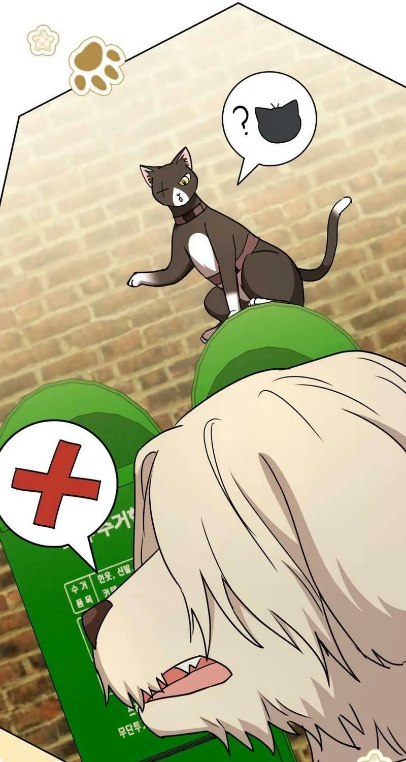 Veterinarian! Hello? Chapter 76 page 48 - 