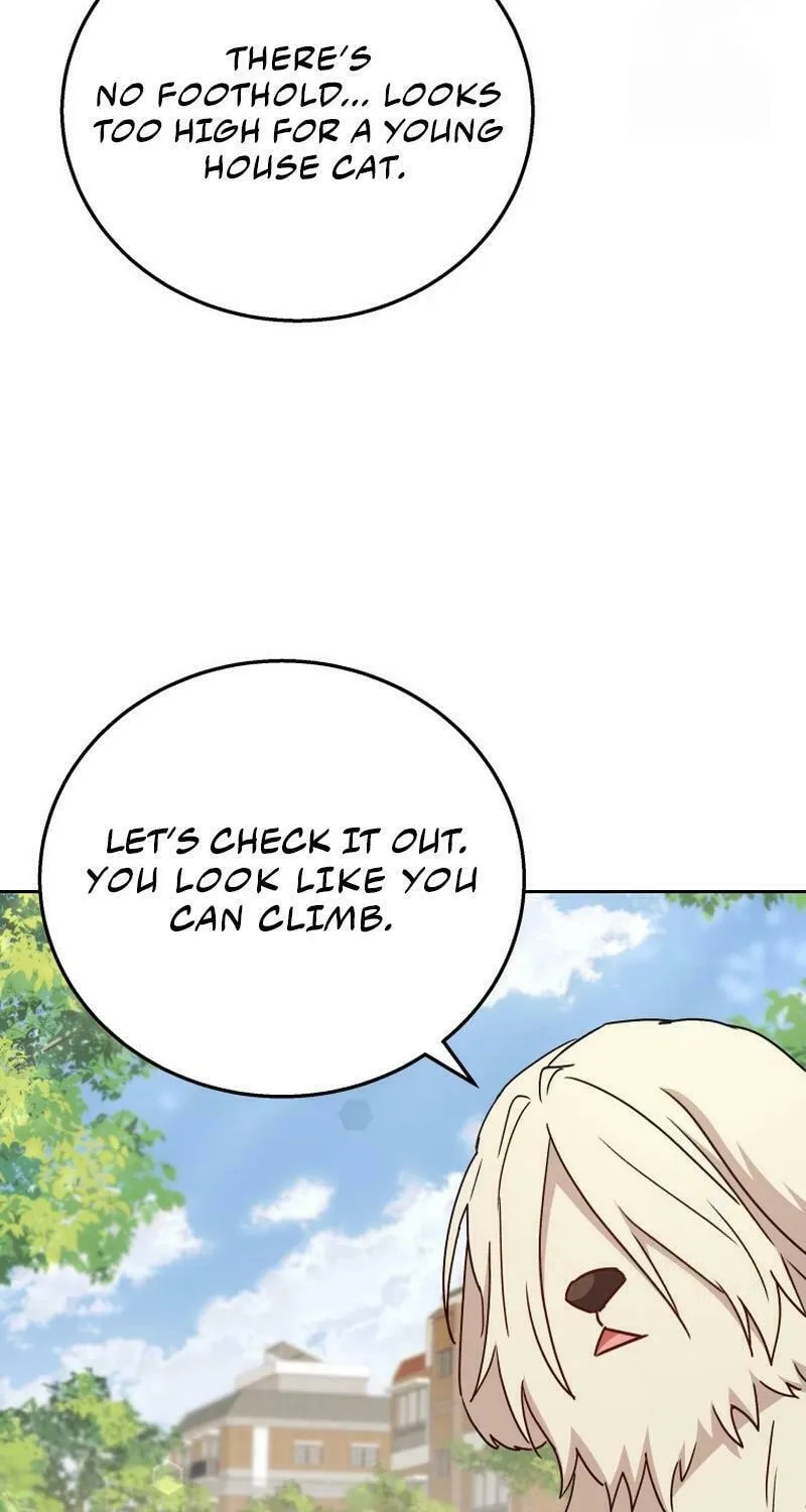 Veterinarian! Hello? Chapter 76 page 53 - 