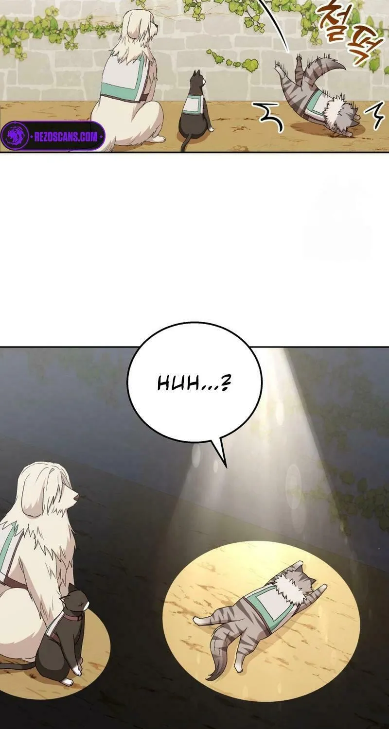 Veterinarian! Hello? Chapter 76 page 62 - 