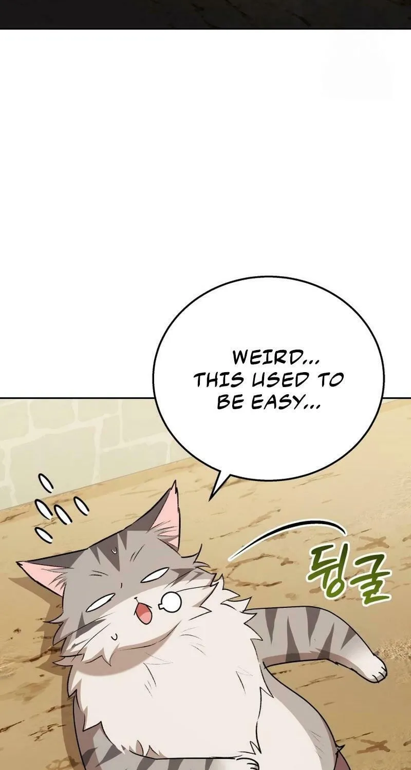 Veterinarian! Hello? Chapter 76 page 63 - 