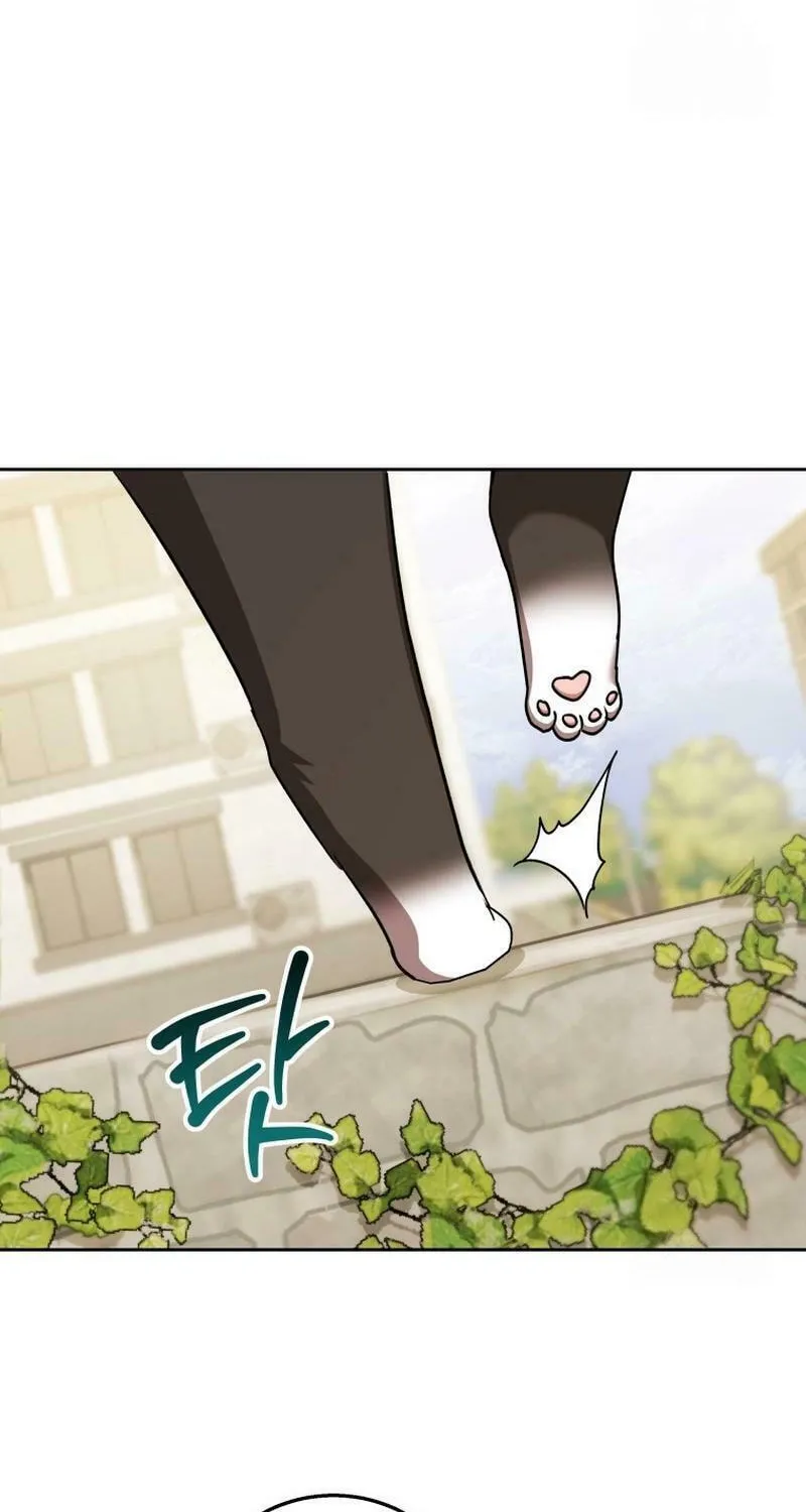 Veterinarian! Hello? Chapter 76 page 67 - 