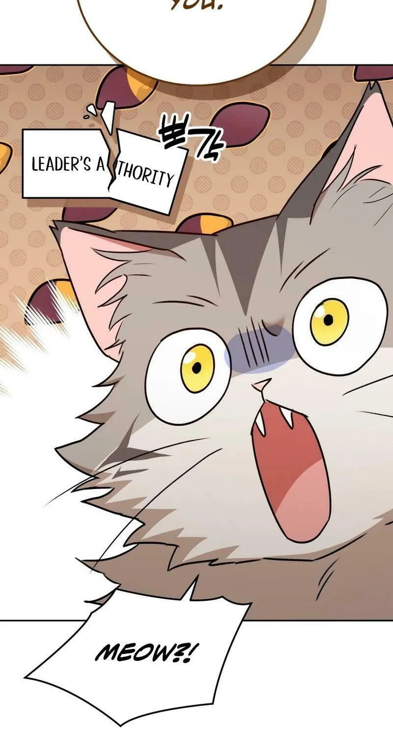 Veterinarian! Hello? Chapter 76 page 72 - 