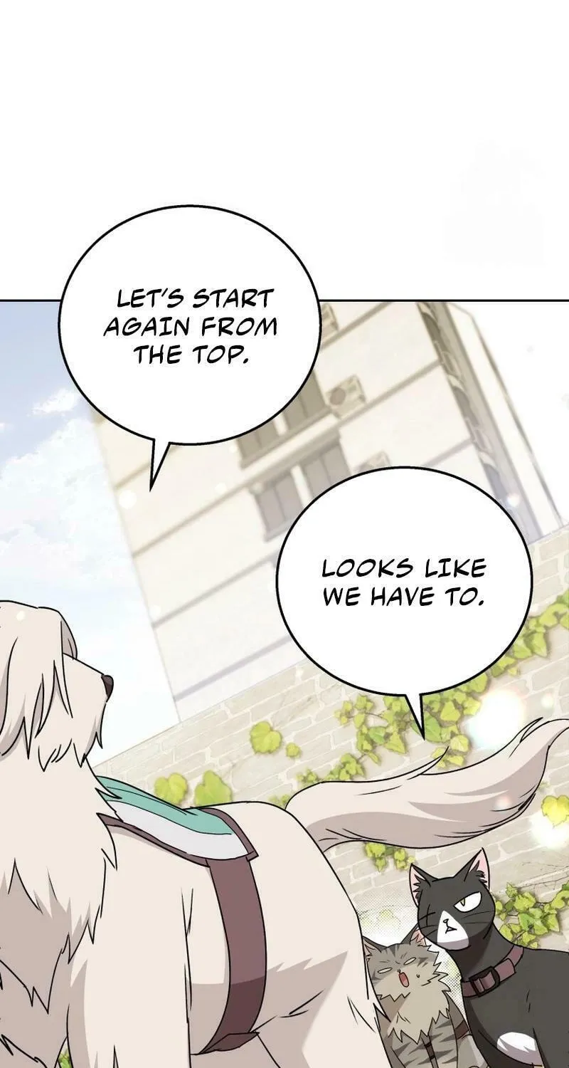 Veterinarian! Hello? Chapter 76 page 73 - 