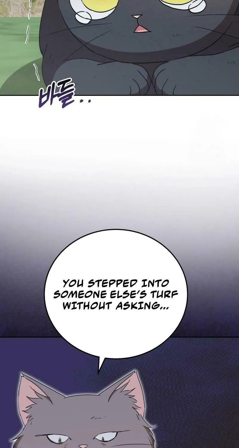 Veterinarian! Hello? Chapter 76 page 79 - 