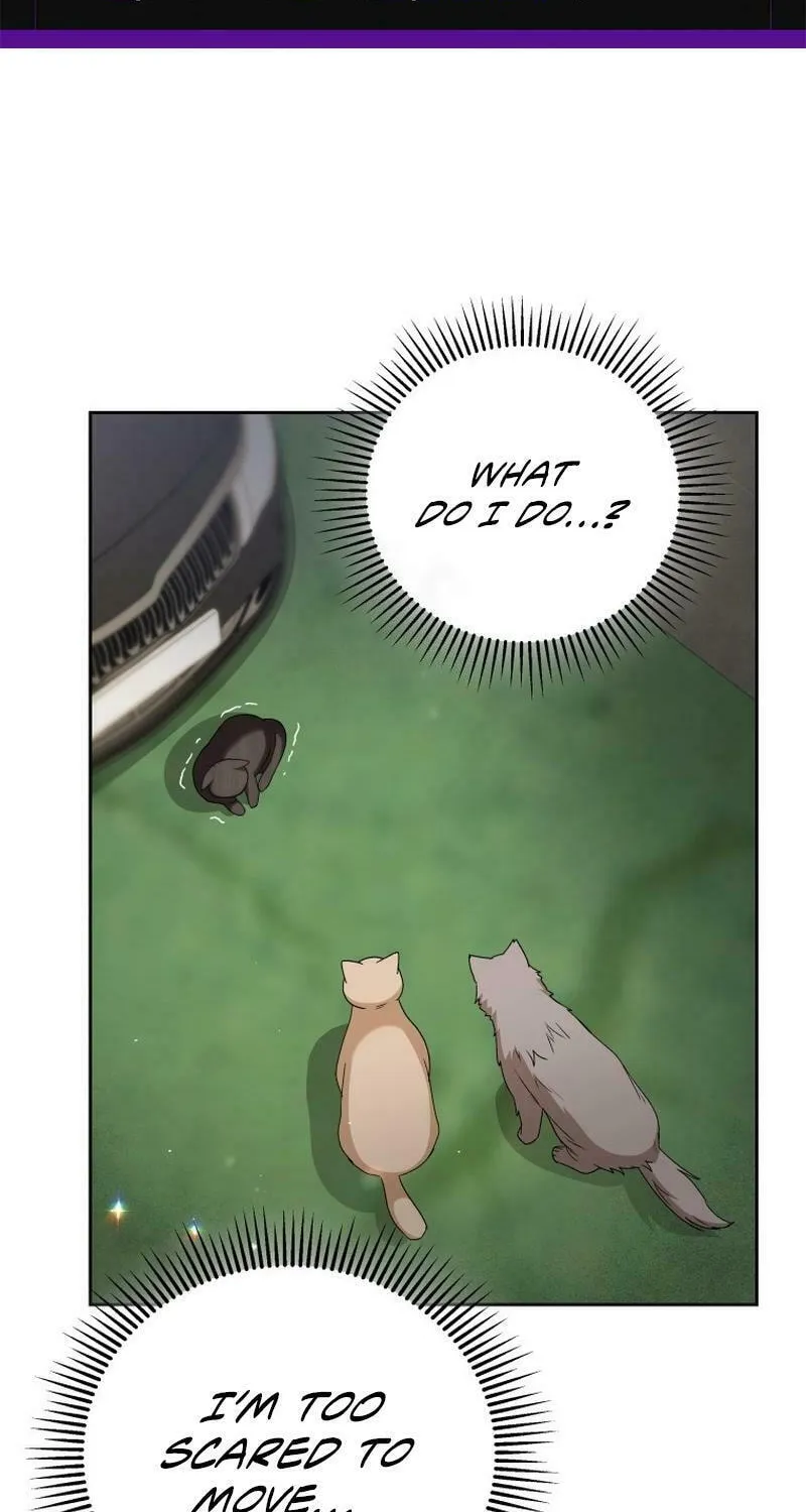 Veterinarian! Hello? Chapter 77 page 2 - 