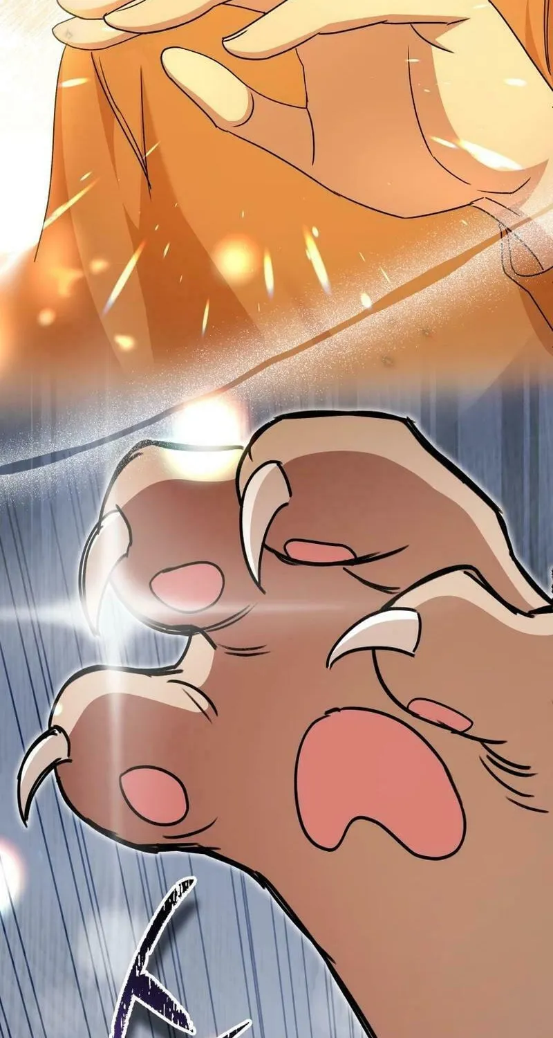 Veterinarian! Hello? Chapter 77 page 19 - 