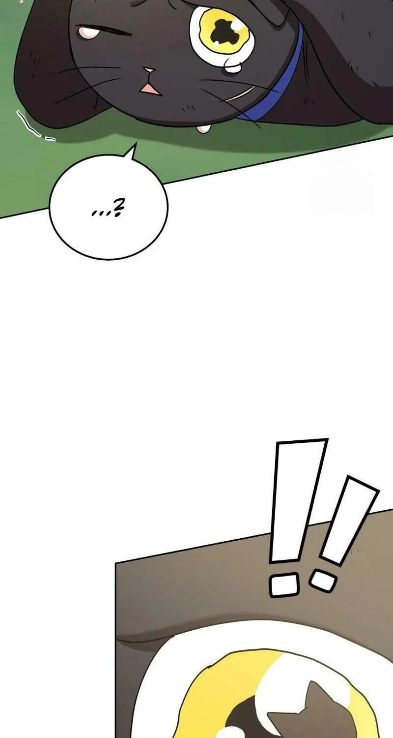 Veterinarian! Hello? Chapter 77 page 23 - 