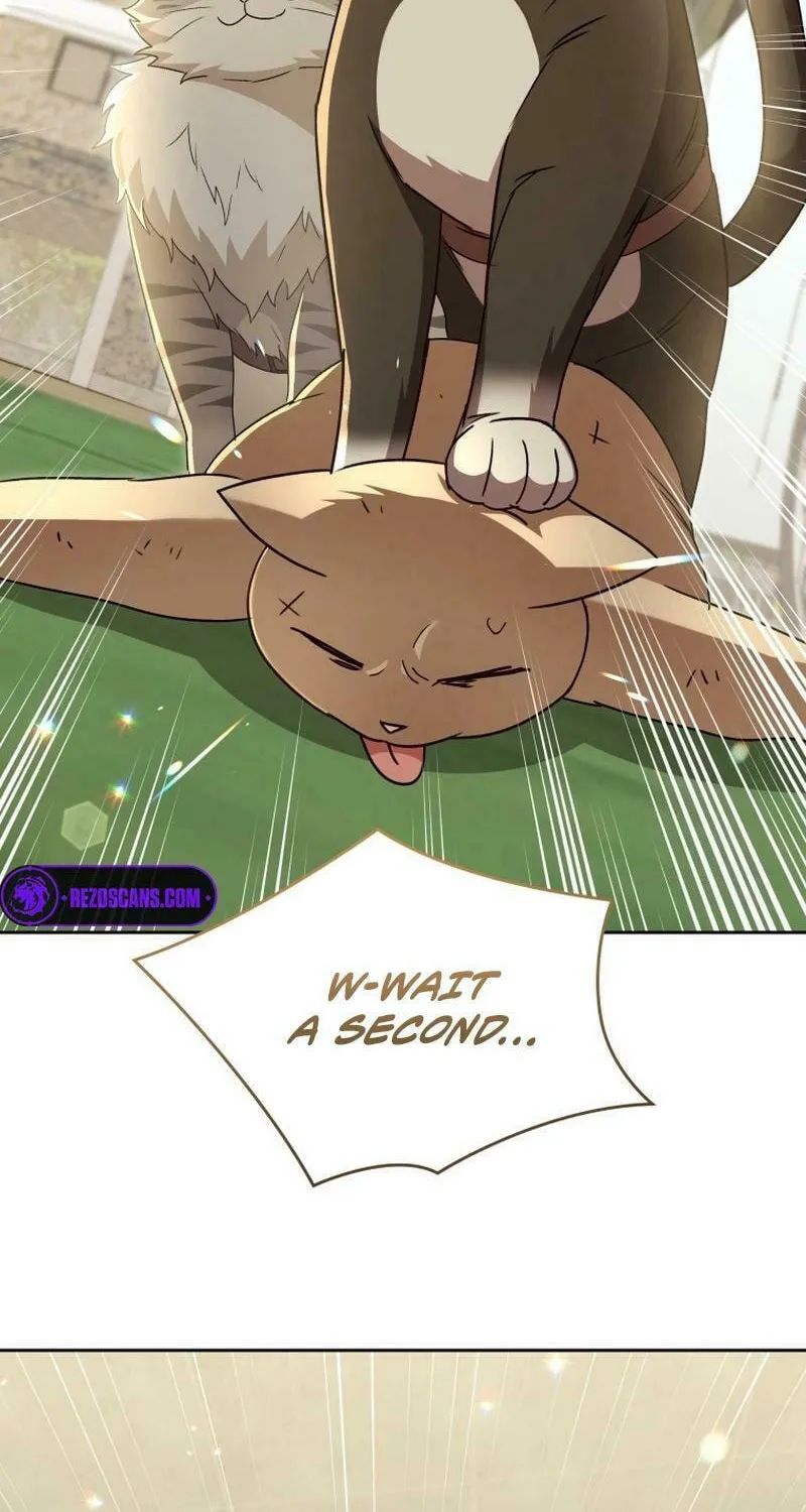 Veterinarian! Hello? Chapter 77 page 25 - 