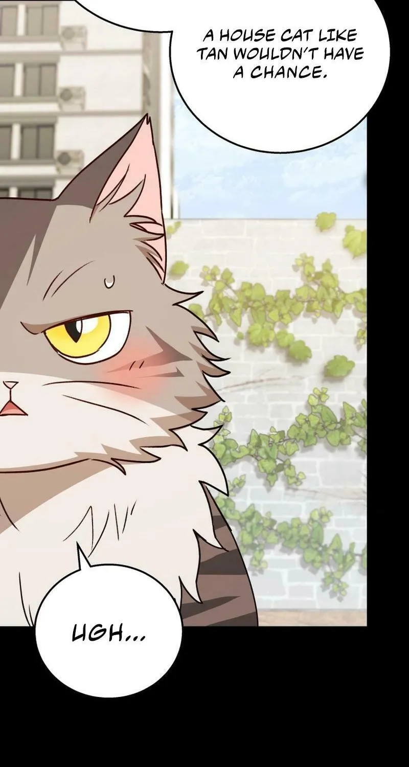 Veterinarian! Hello? Chapter 77 page 40 - 