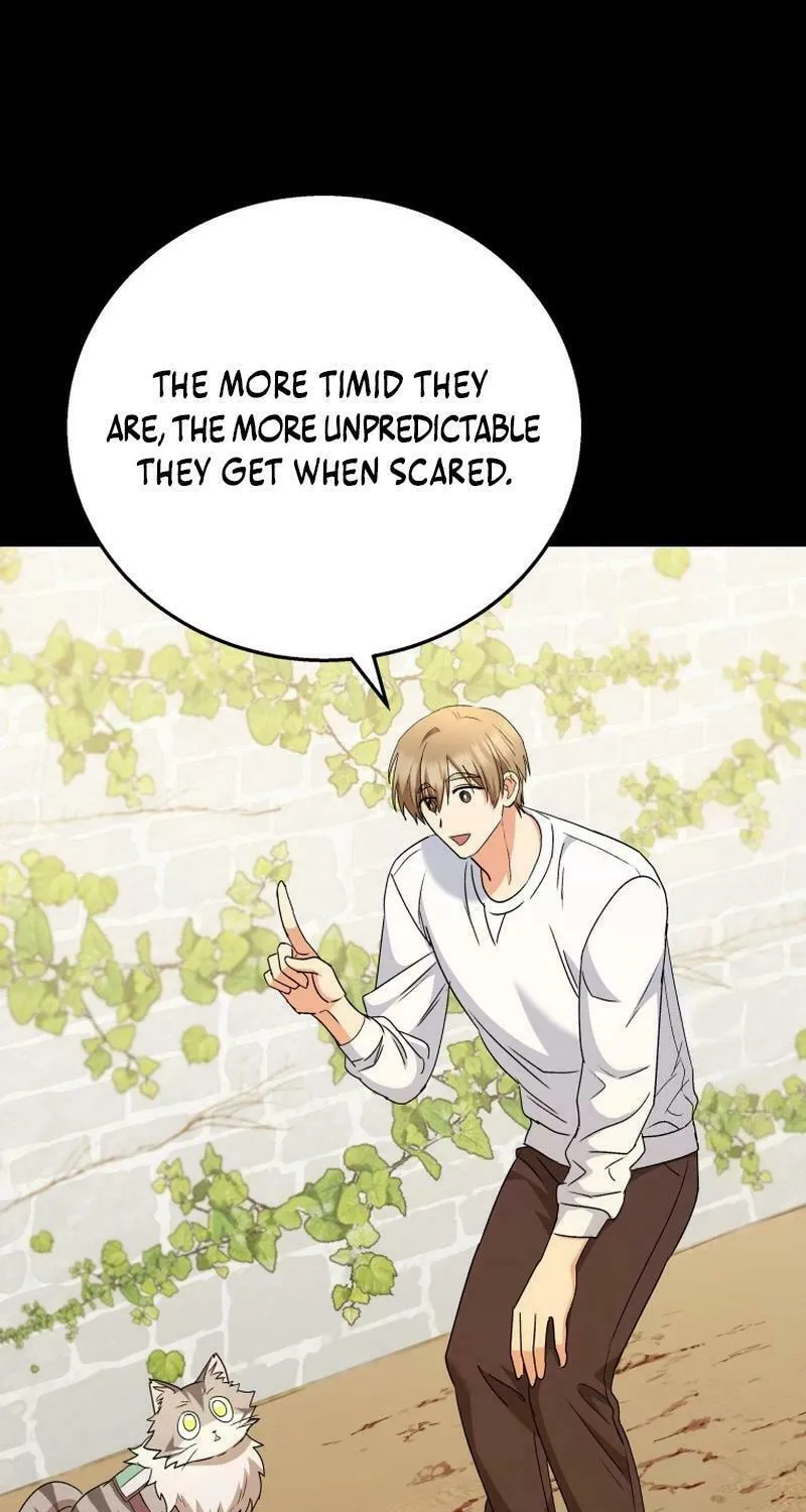 Veterinarian! Hello? Chapter 77 page 43 - 