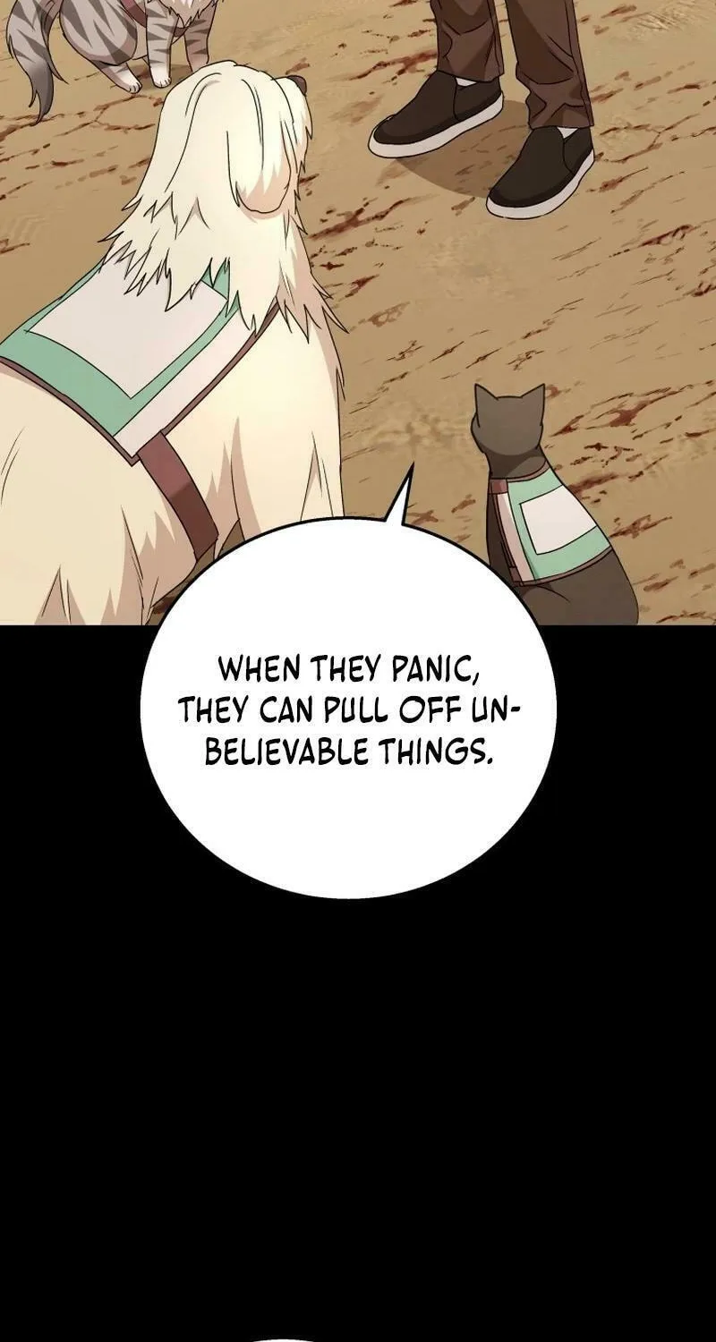 Veterinarian! Hello? Chapter 77 page 44 - 