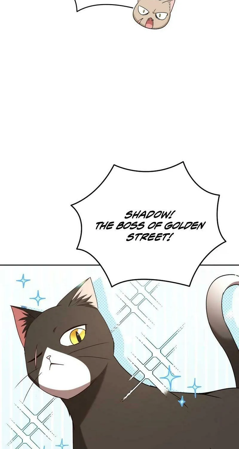 Veterinarian! Hello? Chapter 77 page 6 - 