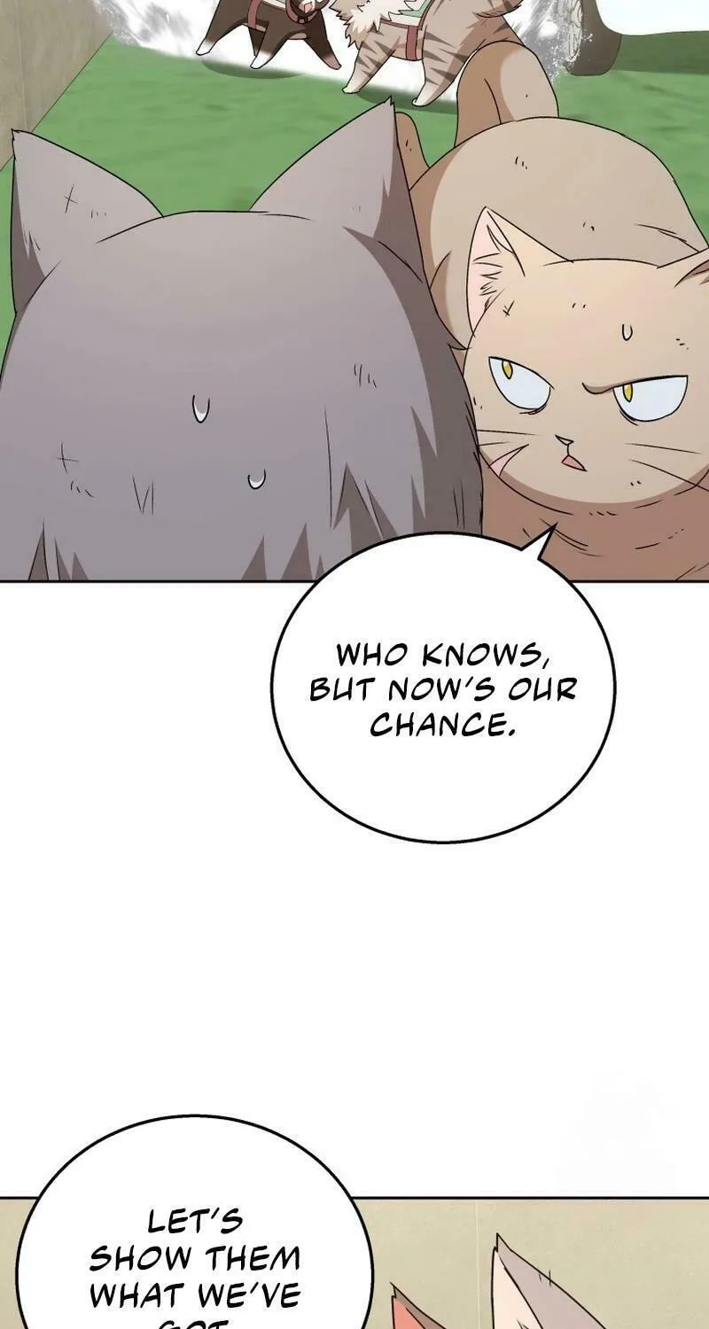 Veterinarian! Hello? Chapter 77 page 59 - 