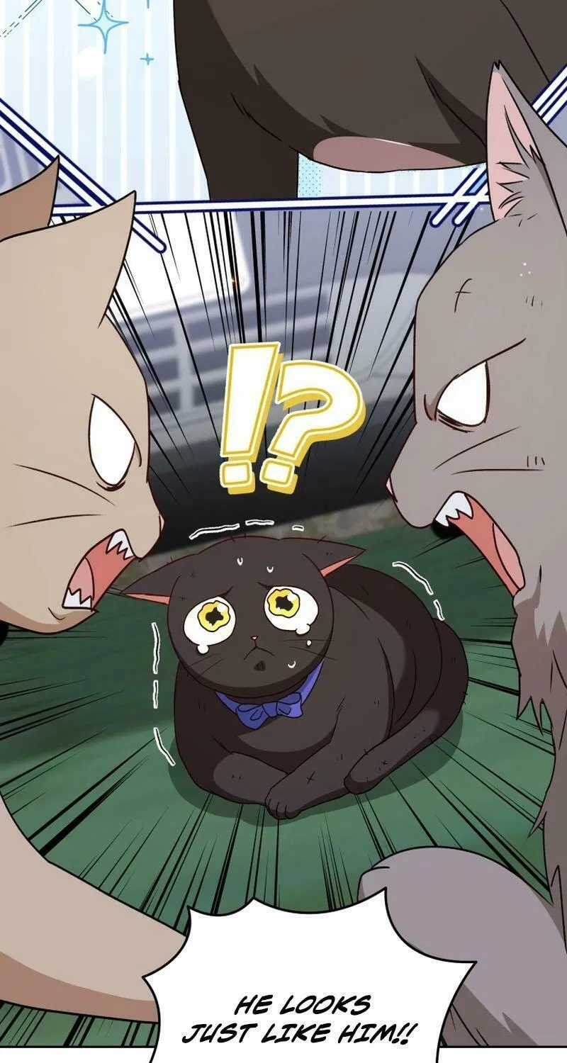 Veterinarian! Hello? Chapter 77 page 7 - 