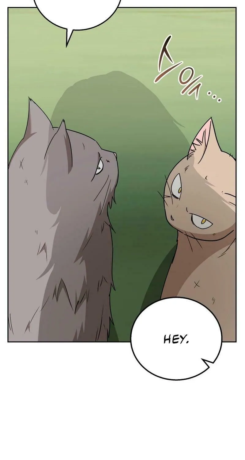 Veterinarian! Hello? Chapter 77 page 61 - 