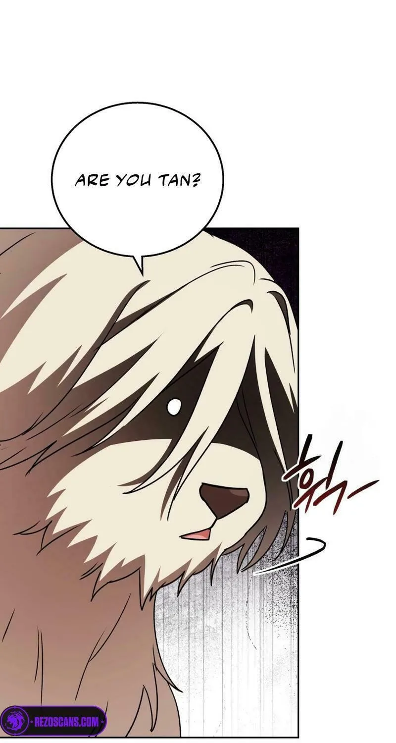 Veterinarian! Hello? Chapter 77 page 67 - 