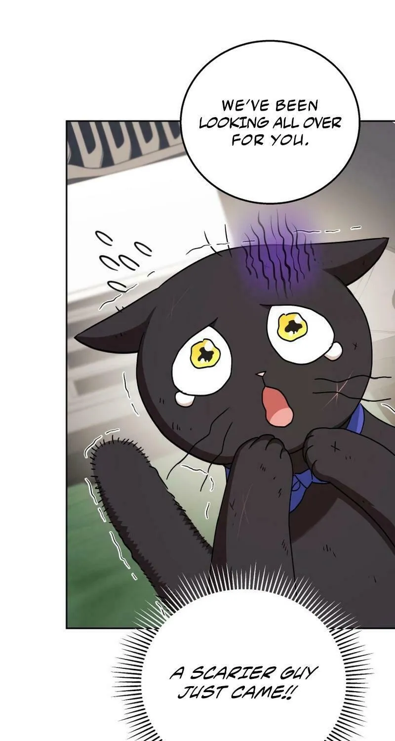 Veterinarian! Hello? Chapter 77 page 68 - 