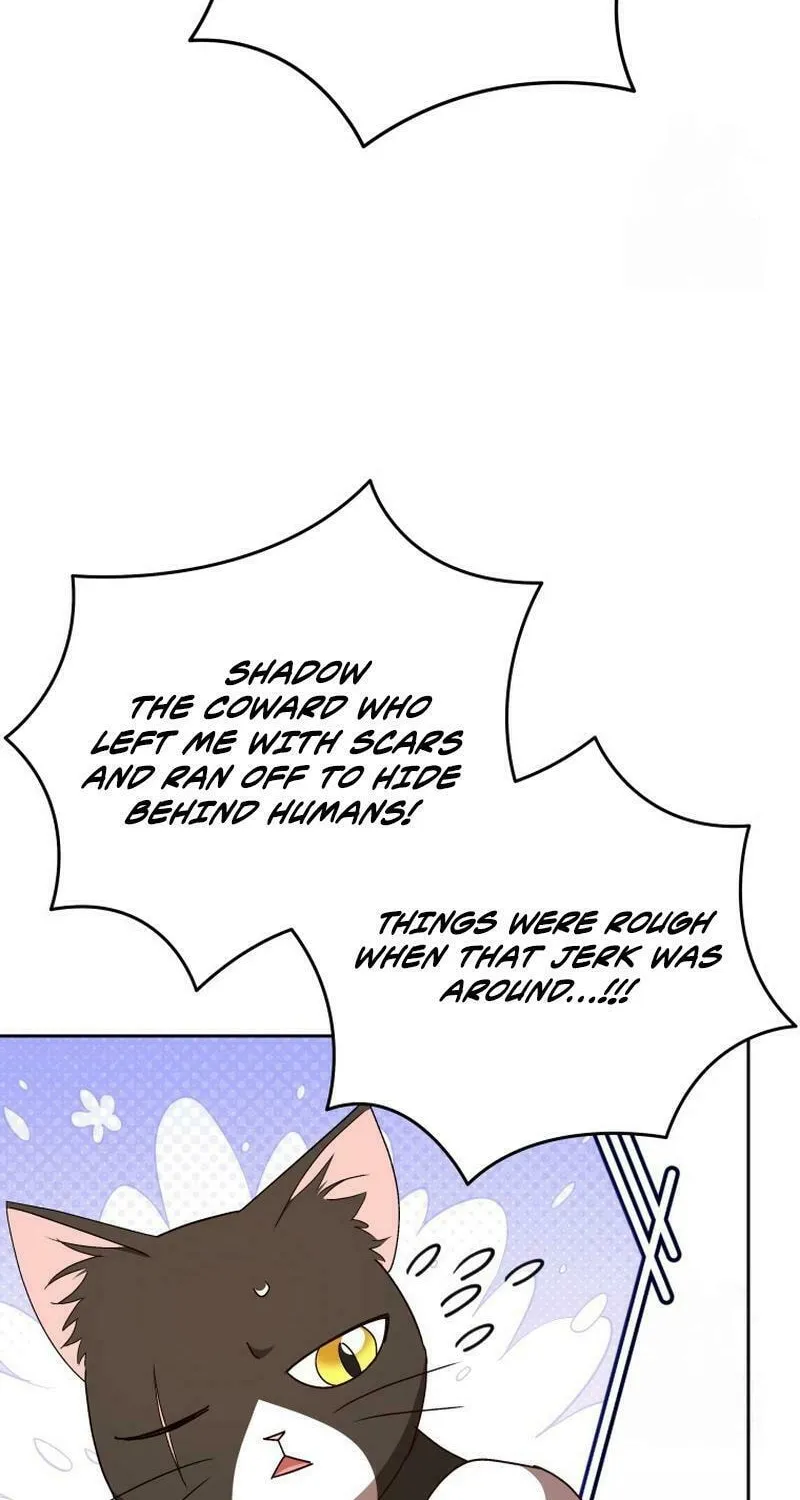 Veterinarian! Hello? Chapter 77 page 8 - 