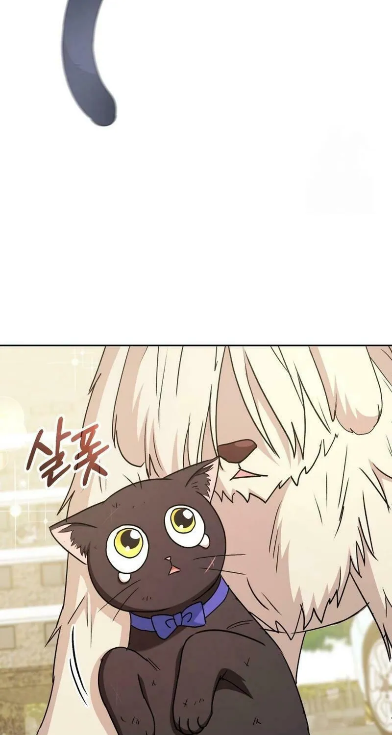 Veterinarian! Hello? Chapter 77 page 72 - 