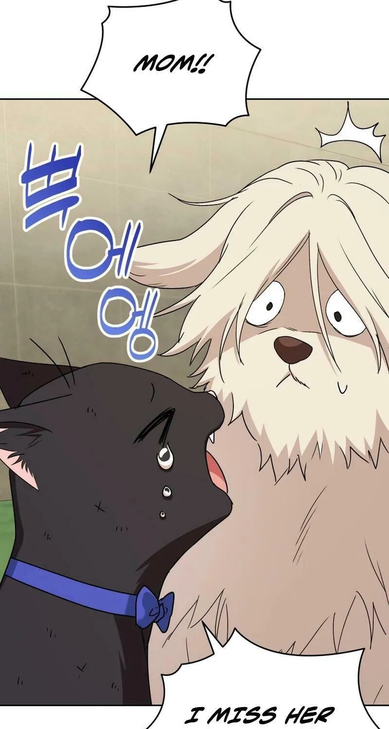 Veterinarian! Hello? Chapter 77 page 83 - 