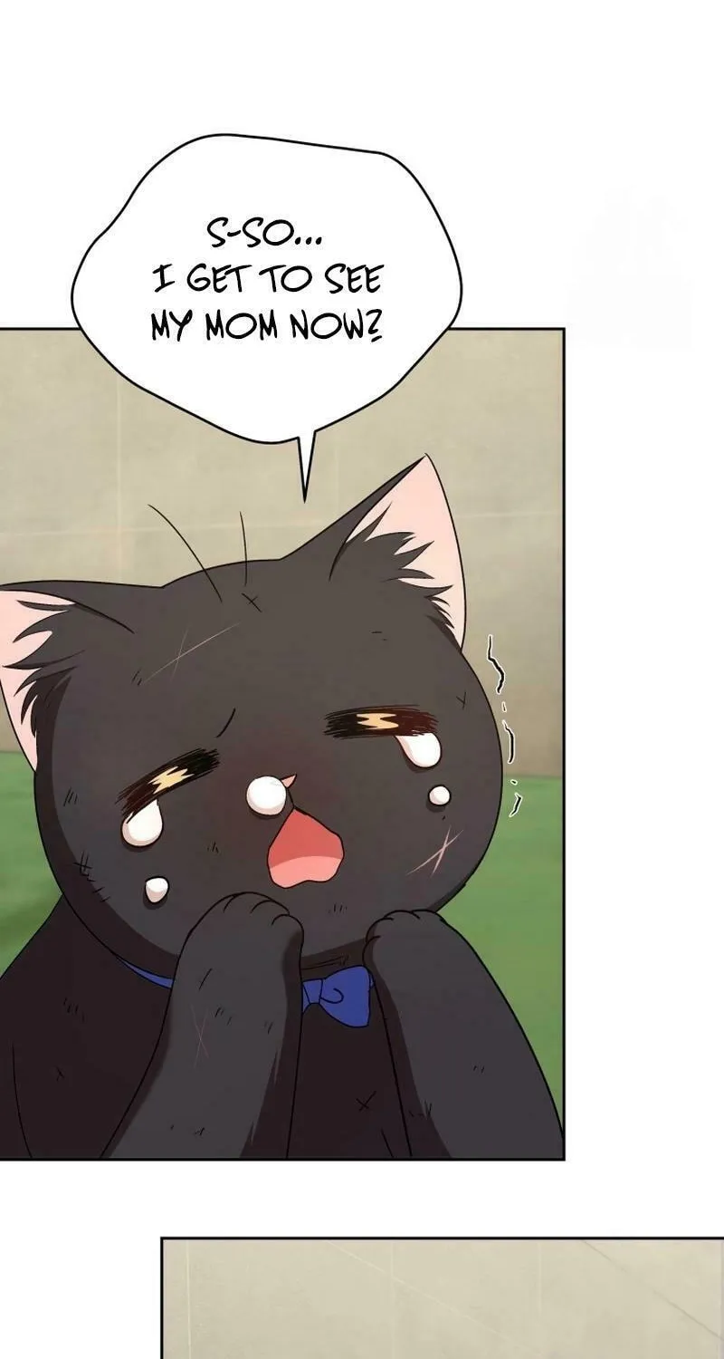 Veterinarian! Hello? Chapter 77 page 86 - 