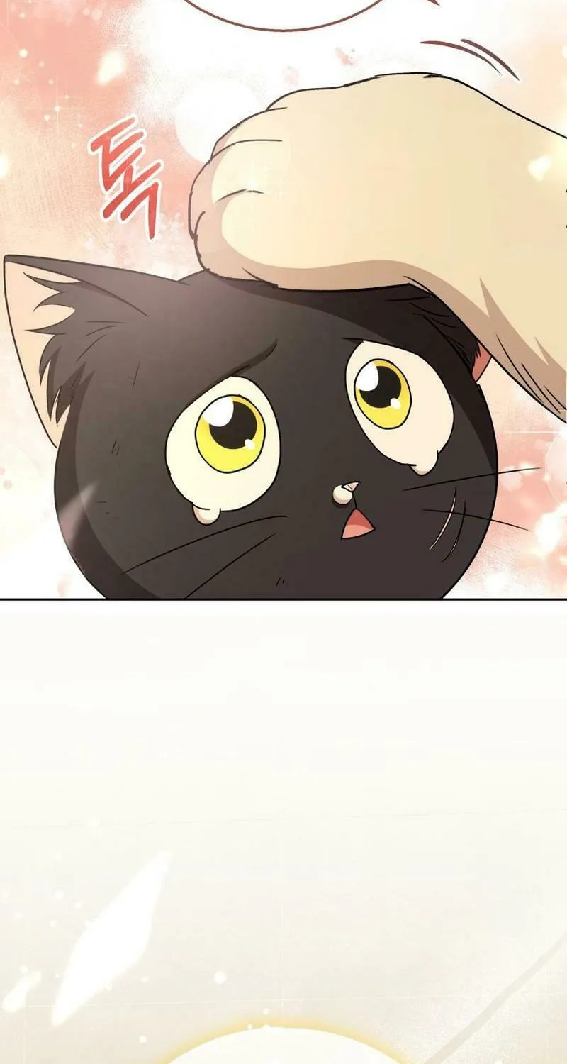 Veterinarian! Hello? Chapter 77 page 90 - 
