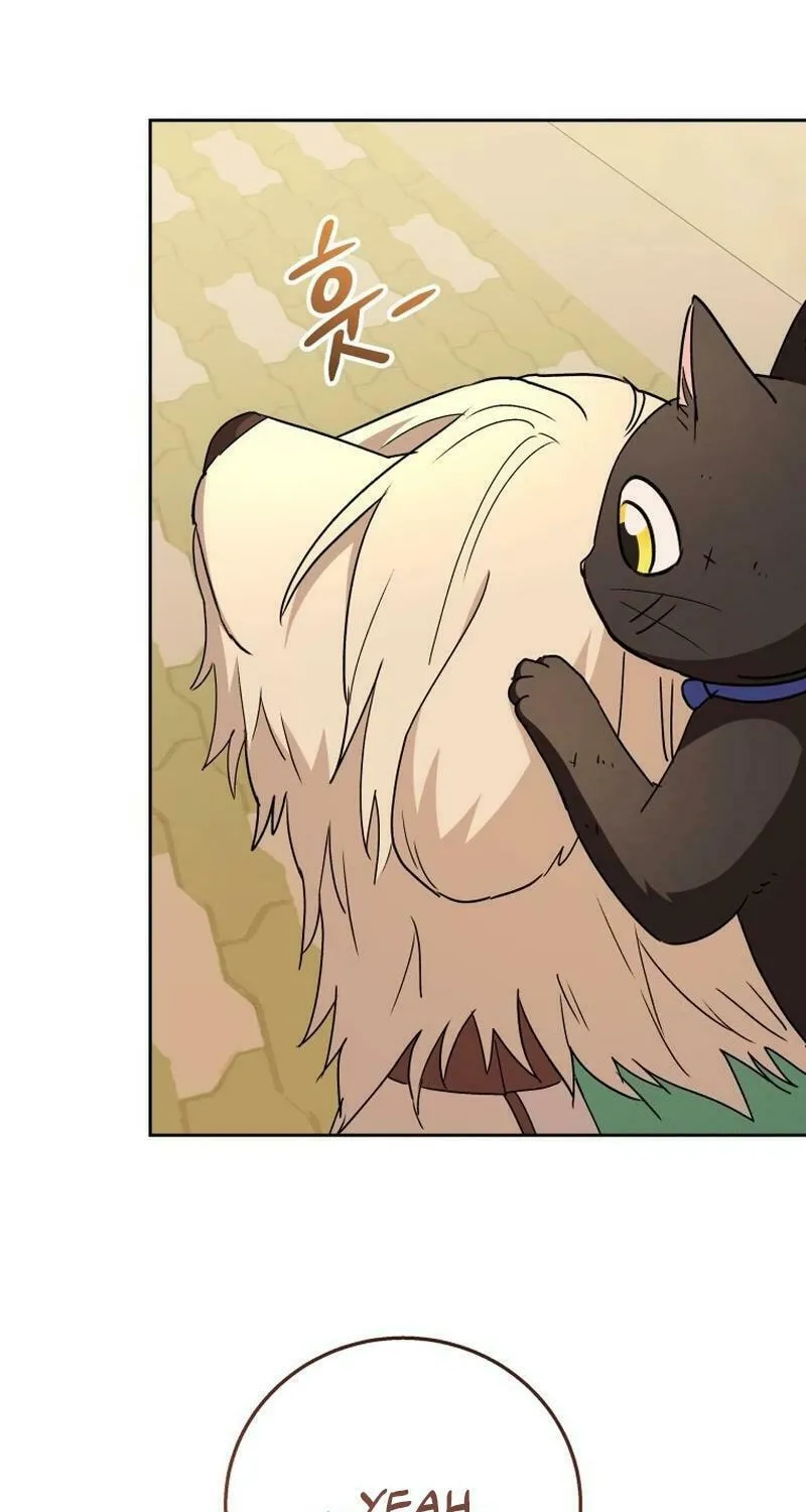 Veterinarian! Hello? Chapter 78 page 12 - 