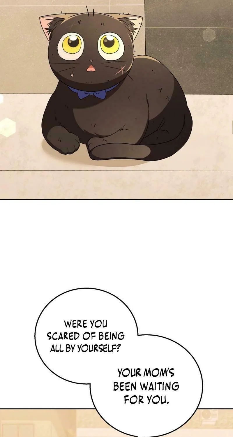 Veterinarian! Hello? Chapter 78 page 17 - 