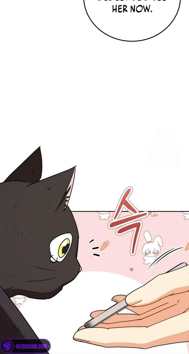 Veterinarian! Hello? Chapter 78 page 21 - 