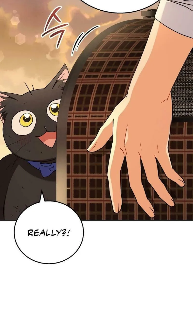 Veterinarian! Hello? Chapter 78 page 28 - 