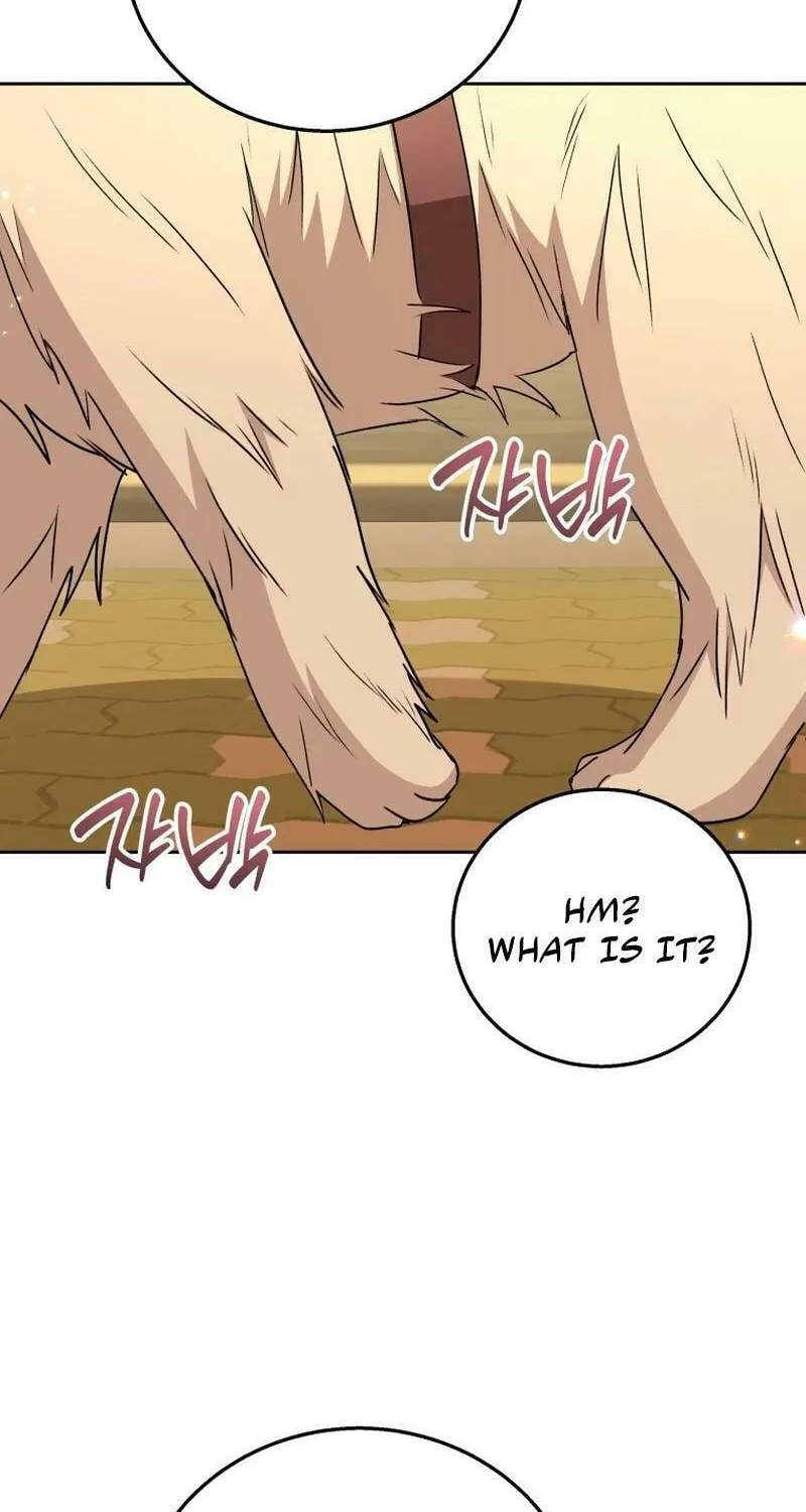 Veterinarian! Hello? Chapter 78 page 4 - 