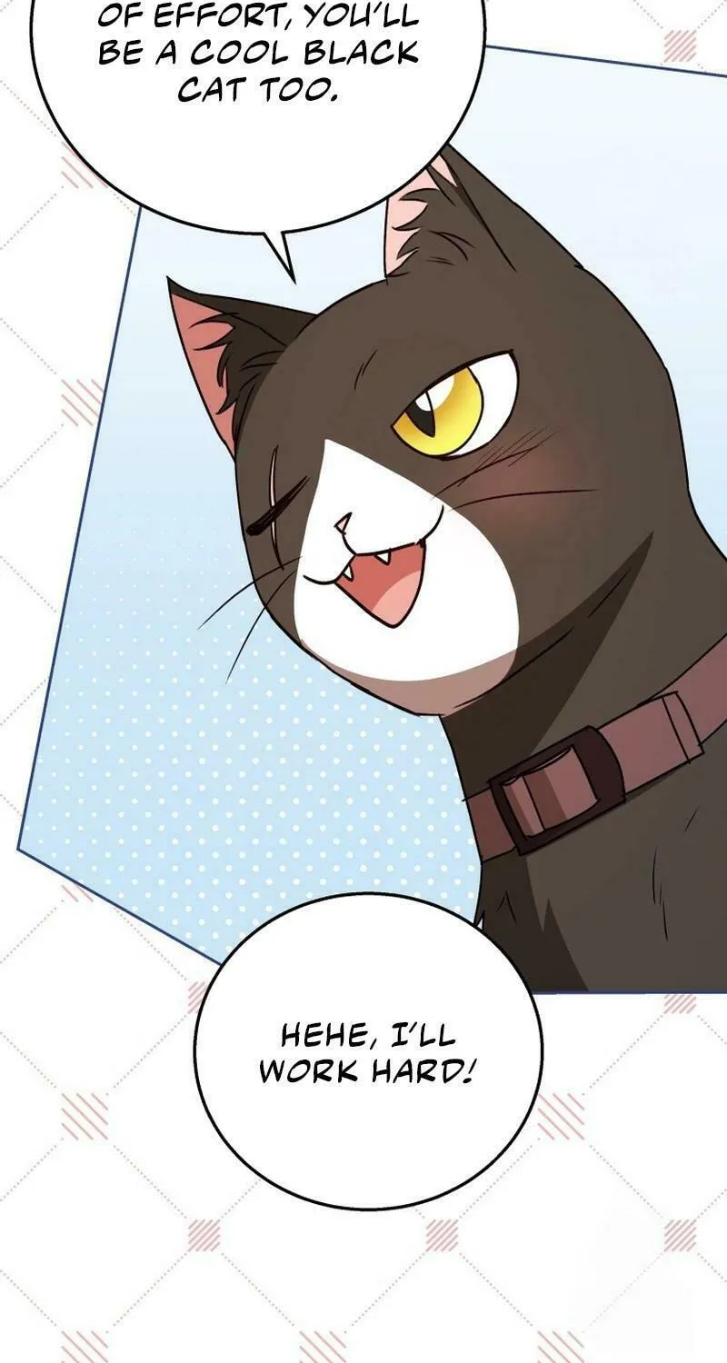 Veterinarian! Hello? Chapter 78 page 36 - 