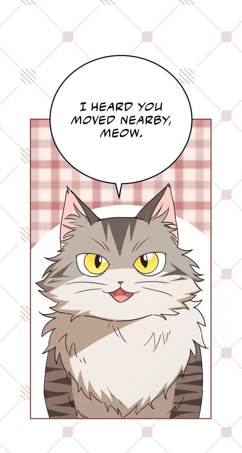 Veterinarian! Hello? Chapter 78 page 37 - 