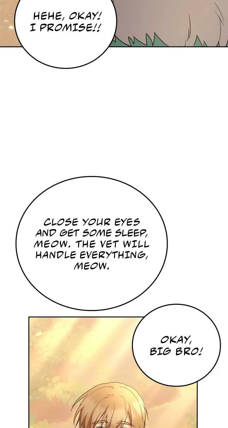 Veterinarian! Hello? Chapter 78 page 40 - 