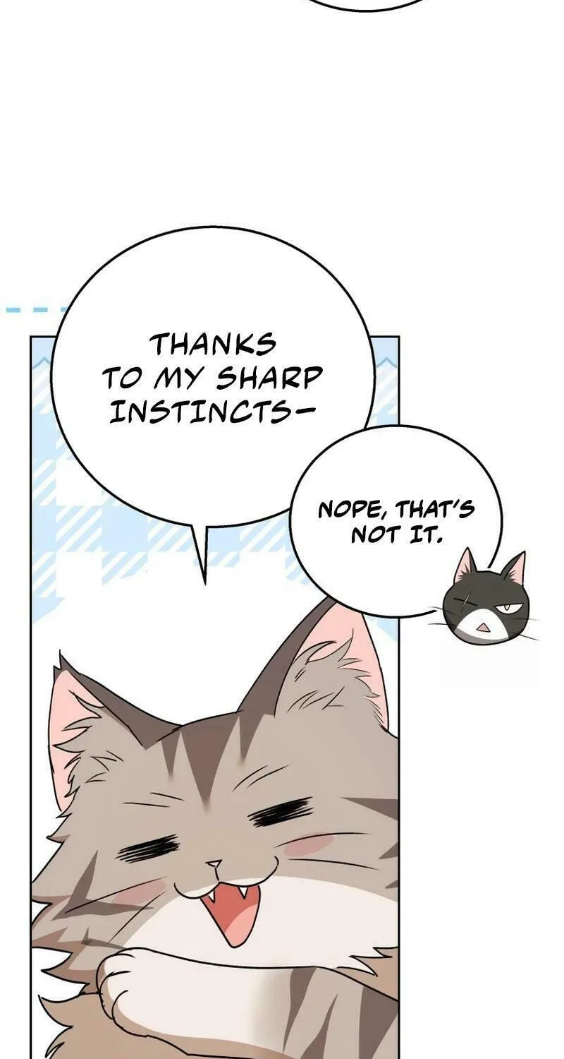 Veterinarian! Hello? Chapter 78 page 6 - 