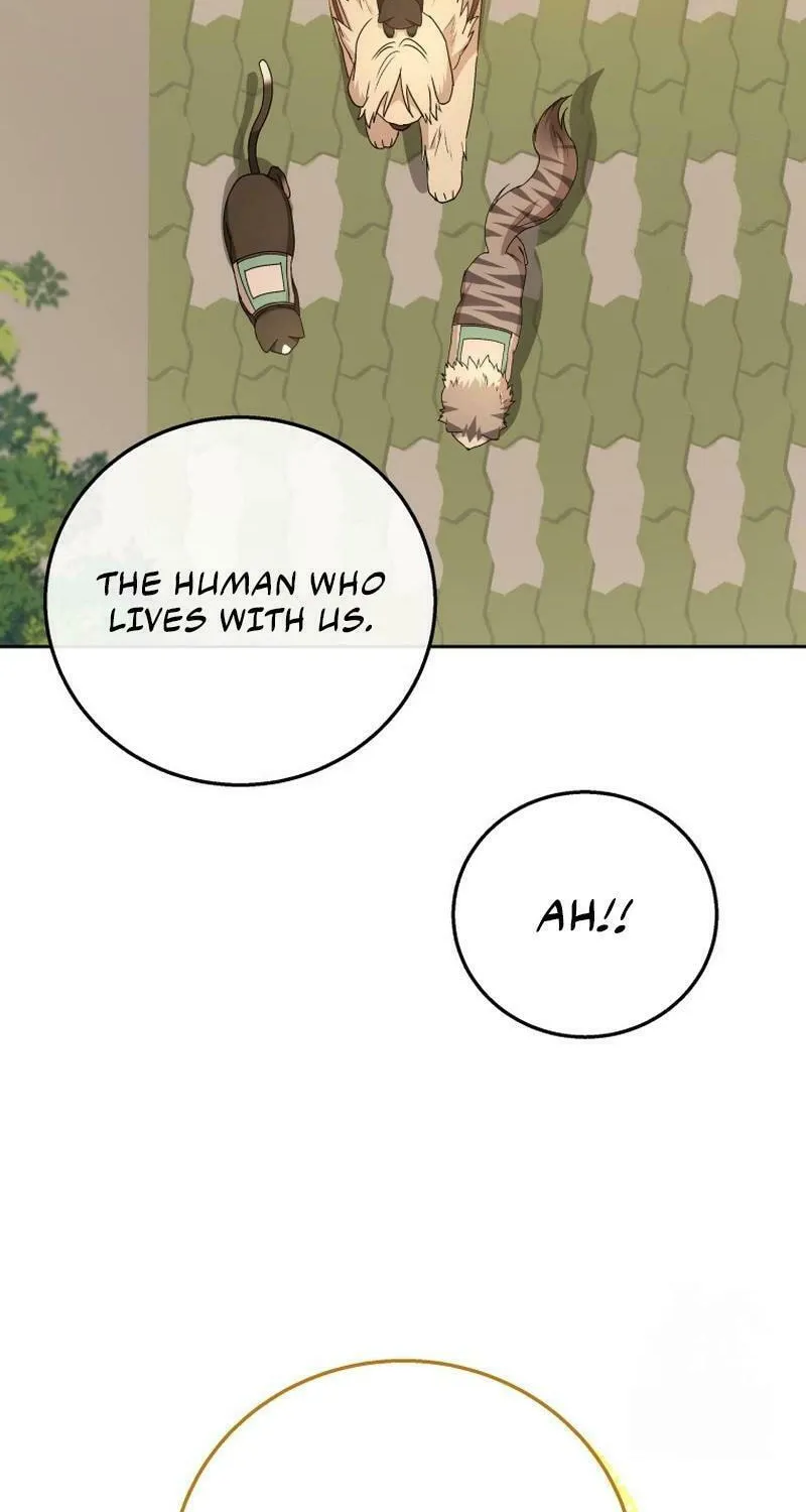 Veterinarian! Hello? Chapter 78 page 8 - 