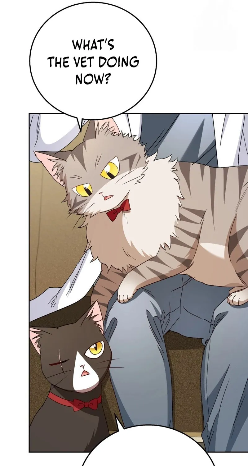 Veterinarian! Hello? Chapter 79 page 11 - 