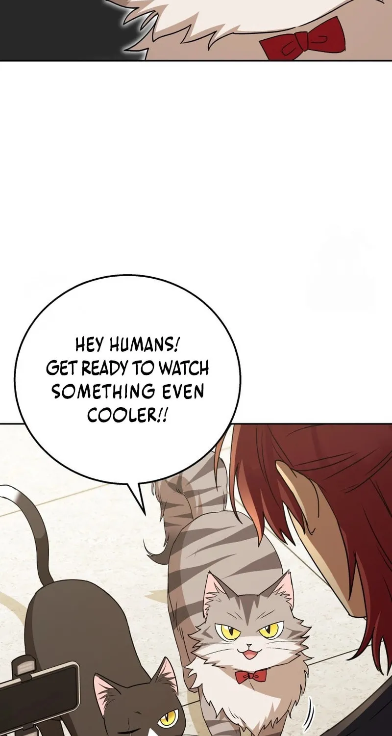 Veterinarian! Hello? Chapter 79 page 13 - 