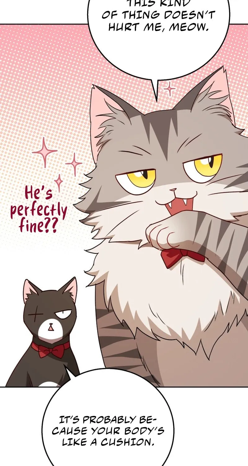 Veterinarian! Hello? Chapter 79 page 35 - 